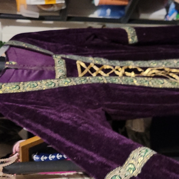 Costume Dresses & Skirts - Costume Dress